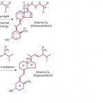 Vitamine D