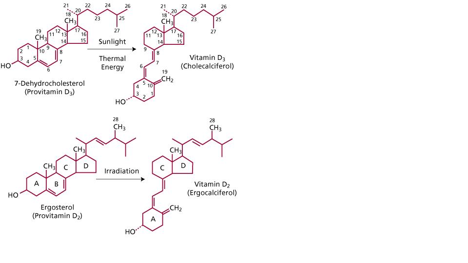 Vitamine D